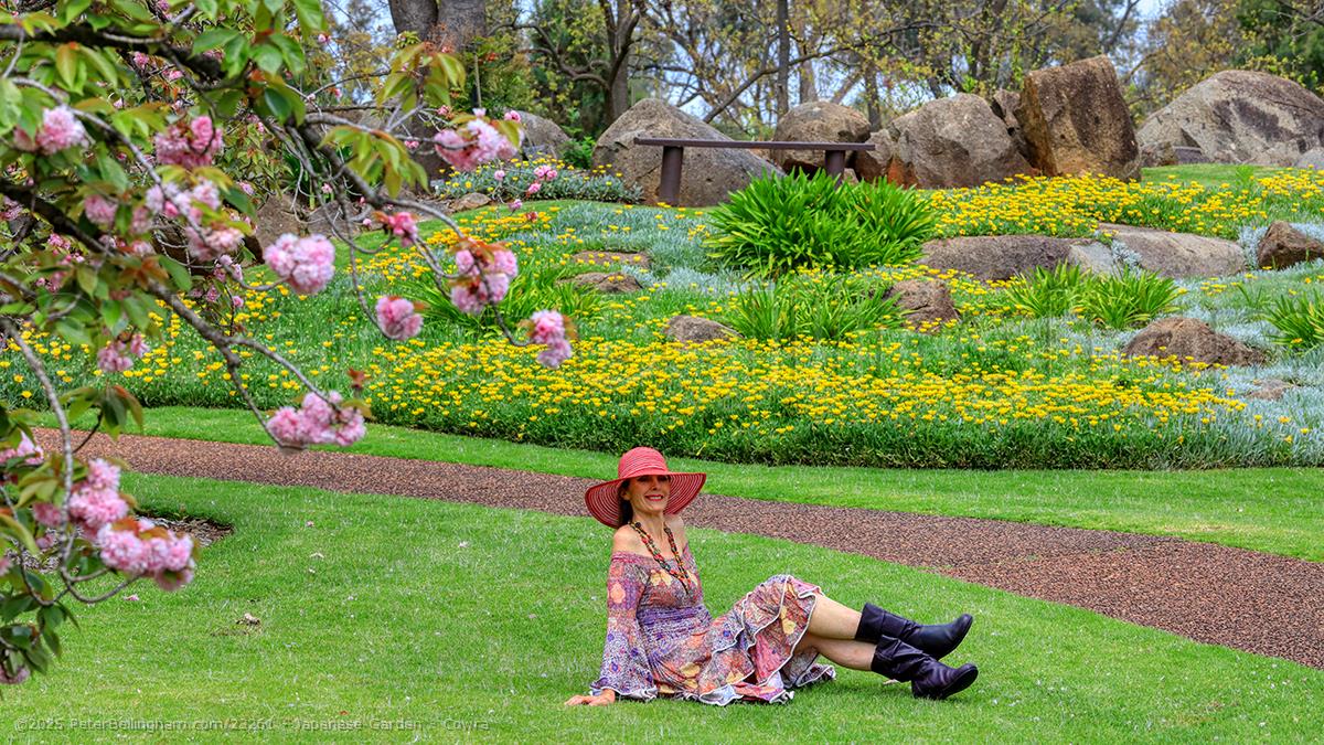 Peter Bellingham Photography Japanese Garden - Cowra